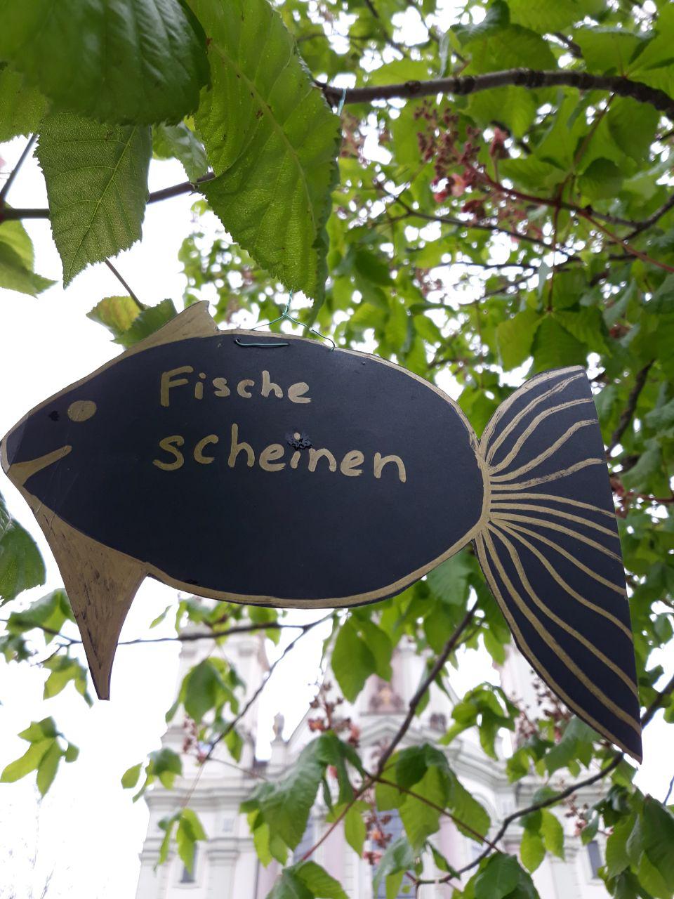 Внезапные рыбы в Баварии, 5-9 мая